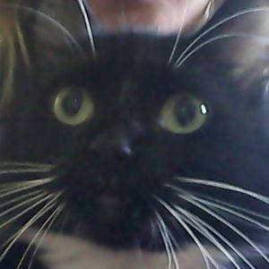 Meet your Posher, Cassidy